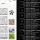 acr backstock flyer